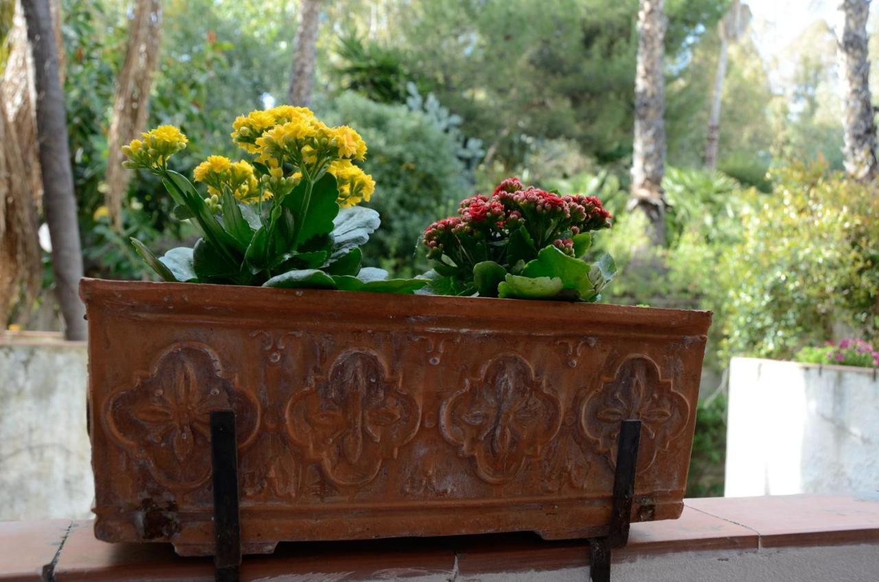 Sea Breeze Acitrezza Διαμέρισμα Aci Castello Εξωτερικό φωτογραφία